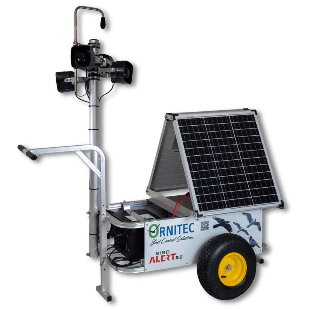 BirdAlert 2.0 Detection Box